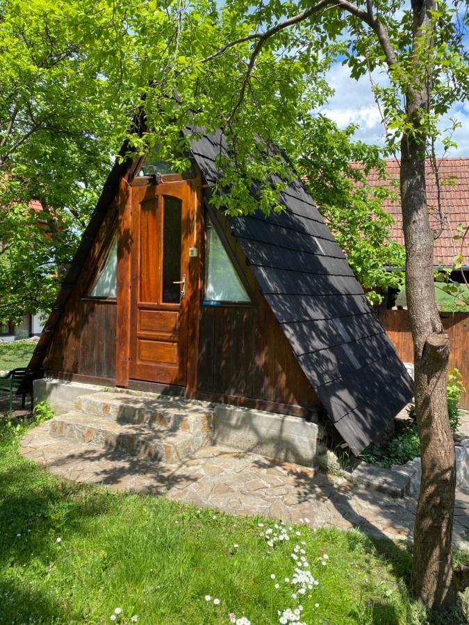 Sziklakert - Életöröm Vendégház Rimetea Exterior foto